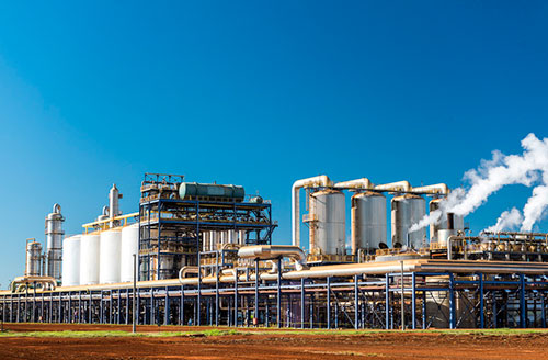Atvos assina MoU com NetZero para desenvolver projeto de biochar em Goiás