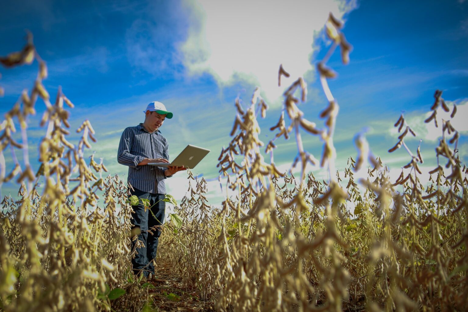 CATI recebe primeira missão técnica do Banco Mundial para projeto Agro Paulista Mais Verde