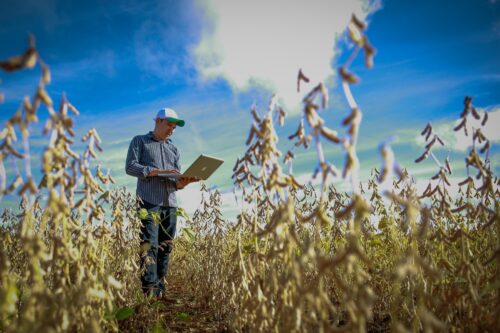  CATI recebe primeira missão técnica do Banco Mundial para projeto Agro Paulista Mais Verde