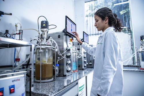 Microrganismos da biodiversidade marinha de Fernando de Noronha abrem caminho para o desenvolvimento de bioinsumos que fortalecem a agricultura sustentável 