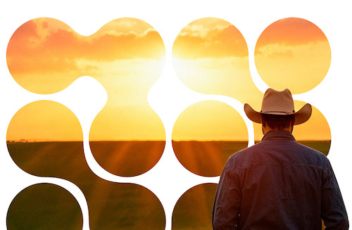 Panorama Setorial de Máquinas Agrícolas 2025 revela retrato inédito da frota de máquinas agrícolas no Brasil