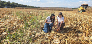 Com práticas de agricultura regenerativa, fazenda no interior de SP registra pegadas de carbono de soja e milho abaixo da média nacional