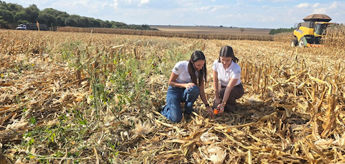 Com práticas de agricultura regenerativa, fazenda no interior de SP registra pegadas de carbono de soja e milho abaixo da média nacional