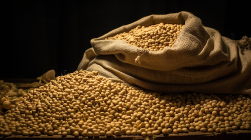 DATAGRO projeta lucratividade bruta positiva da soja em 2025/26 pelo 20º ano consecutivo na maior parte do país