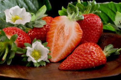 Embrapa indica cultivar de morango para produtores do Centro-Oeste