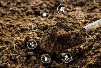 Diagnóstico de solo é o primeiro passo para proteger lavouras e garantir produtividade
