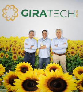 Giratech 2025 reforça sucesso da produção de girassol com números recordes na safra 2025