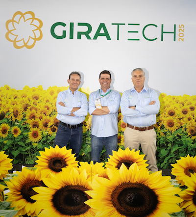  Giratech 2025 reforça sucesso da produção de girassol com números recordes na safra 2025