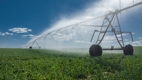 Empresa aposta em inovação, sustentabilidade e independência energética para fortalecer
