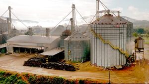 Grupo Grão de Ouro celebra cinco anos em Passos com resultados expressivos e novos desafios