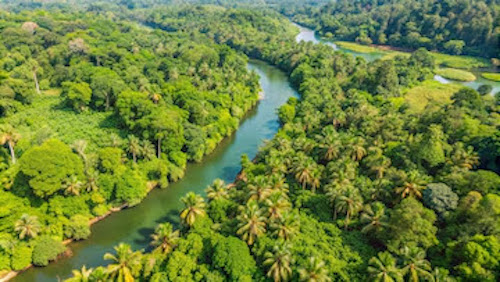 COP30 deve trazer mineração na Amazônia ao centro do debate e discutir agenda sustentável