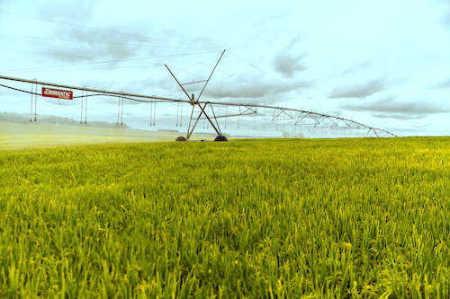 Entenda como o uso da irrigação pode ajudar a triplicar o valor do preço da terra de propriedades rurais