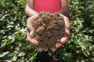 A busca pela estabilidade climática começa no solo
