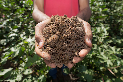 A busca pela estabilidade climática começa no solo