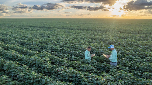 SLC Agrícola anuncia a maior operação de mensuração de carbono (GEE) do agro brasileiro