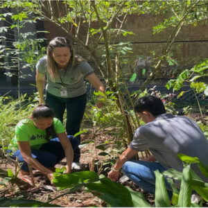 VWCO patrocina Museu de Ciências da Amazônia