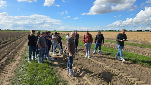 ADAMA leva produtores brasileiros à feira PotatoEurope, na Holanda, para troca de conhecimento e fortalecimento da cadeia da batata