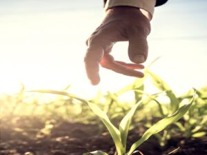 Desafios climáticos, sustentabilidade e inovação em formulações com adjuvantes são destaque na nova temporada do podcast da BASF