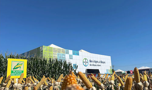  Bayer leva inovações e lançamentos para o Seminário Nacional Milho Safrinha