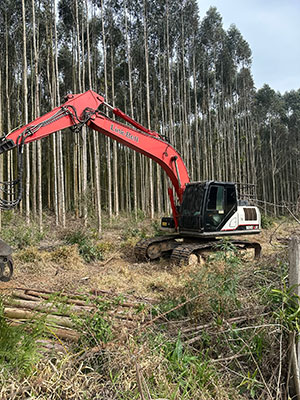 Uso de escavadeiras garante produtividade e economia em áreas florestais