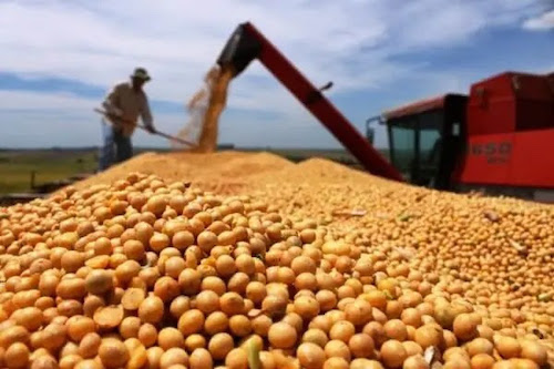 Fisioativador aumenta produtividade da soja em até 158% em relação ao manejo padrão na Bahia