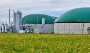 Brasil pode liderar meta global de quadruplicar biocombustíveis até 2035 Compromisso assumido durante reunião ministerial em Osaka terá reflexos centrais nas discussões da COP30, em Belém A União da Indústria de Cana-de-Açúcar e Bioenergia (UNICA) celebra o acordo firmado entre Brasil e Japão, que propuseram, durante a 1ª Reunião Ministerial sobre Combustíveis Sustentáveis em Osaka, a meta de quadruplicar até 2035 o uso global dos biocombustíveis e de outras rotas sustentáveis. O encontro reuniu ministros e delegados de 34 países e organizações internacionais e representou um passo relevante da cooperação internacional para acelerar a transição energética e a descarbonização da economia. Com cinco décadas de experiência no uso do etanol como combustível, o Brasil já evitou a emissão de cerca de 730 milhões de toneladas de CO₂ desde o advento do carro flex, em 2003. Esse histórico posiciona o setor sucroenergético brasileiro de forma estratégica na construção de soluções energéticas de baixo carbono em escala global. “O acordo abre caminho para ampliar o impacto positivo de soluções já consolidadas, como etanol e biodiesel, e impulsionar novas rotas como biogás, biometano e SAF (combustível sustentável de aviação)”, afirma Evandro Gussi, presidente da UNICA. Segundo ele, o Brasil reúne condições únicas de contribuir para o cumprimento da meta, seja pela escala de sua produção, pela infraestrutura já instalada ou pelo modelo de política pública que combina segurança energética, inovação e sustentabilidade. “Esse compromisso ganha ainda mais relevância diante da COP30, em Belém, quando o Brasil terá a oportunidade de mostrar ao mundo sua contribuição decisiva para a transição energética global”, completa Gussi. A UNICA reforça que a iniciativa Brasil-Japão amplia o espaço para que a bioenergia se consolide como vetor central da descarbonização, e mostra que a cooperação internacional pode acelerar resultados em setores críticos, como transporte pesado, aviação e indústria.