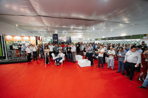 Paranavaí sediará a 4ª Feira Internacional da Mandioca com expectativa de superar R$ 250 milhões em negócios