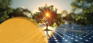 Leilão de Sistemas Isolados 2025 contrata R$ 312 milhões em soluções híbridas com solar e armazenamento