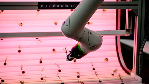 Agritechnica 2025: Digitalização na Fazenda: Eficiência Inteligente em Ação