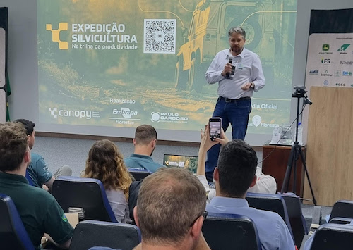 Paraná avança 24% no faturamento da produção florestal e mantém a segunda melhor posição no Brasil