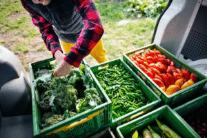 Em ano de COP30 no Brasil, apenas metade dos brasileiros tem conhecimento sobre sistemas alimentares sustentáveis, aponta pesquisa Ajinomoto do Brasil e Nexus