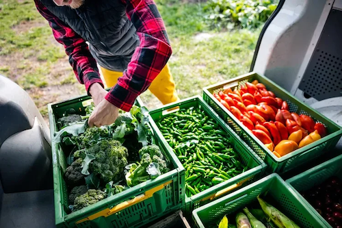 Em ano de COP30 no Brasil, apenas metade dos brasileiros tem conhecimento sobre sistemas alimentares sustentáveis, aponta pesquisa Ajinomoto do Brasil e Nexus