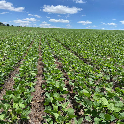 Safra 2025/26: sinergia de tecnologias acelera agricultura regenerativa e fortalece competitividade no campo