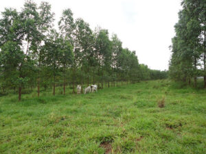 Campos experimentais e laboratórios da Apta Regional ao alcance da sociedade com a 4ª edição do “Apta Portas Abertas”