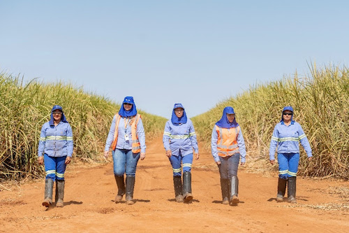 Mês da Mulher Rural: Atvos celebra data ampliando presença feminina e fortalecendo equidade no setor sucroenergético no Oeste Paulista