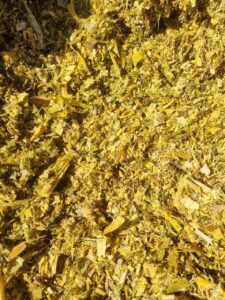 Volumoso de qualidade exige cuidados da colheita da planta ao armazenamento