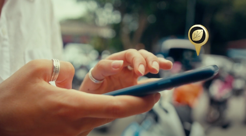 Startup brasileira transforma floresta em conteúdo e engajamento via modelo de assinatura