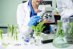 Tecnologia molecular valida identidade e detecta contaminantes em biofábricas brasileiras