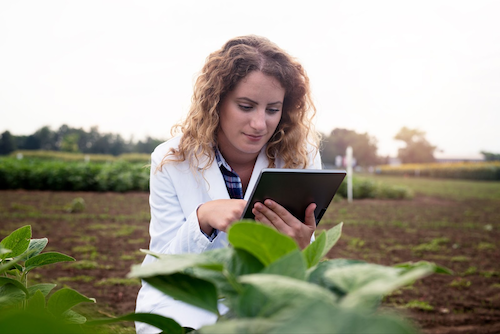 Entenda como a IA pode ajudar o agro a se preparar para as mudanças climáticas
