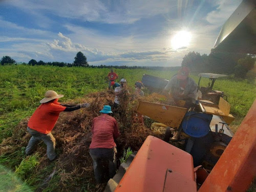 Cooperativa do MST inaugura Agroindústria que beneficiará 40 toneladas de feijão por dia