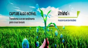 Aumento no teor de nitrogênio na soja traz ganhos ao agricultor de até 6 sacas por hectare (sc/ha) e acréscimo em proteína, com impacto econômico e qualitativo