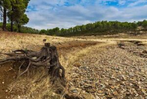 Produção de biodiesel no Brasil cresce 6,3% em 2026, com Goiás liderando produtividade de soja com 20,7 milhões de toneladas