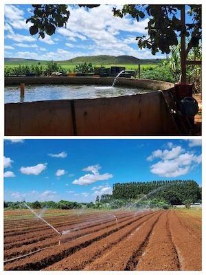 Pesquisa desenvolve índices de qualidade da água para uso em áreas rurais do DF