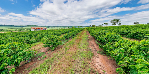V Encontro Tecnológico da ETASA destaca inovações para o futuro da agropecuária