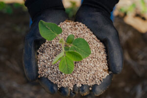EuroChem impulsiona produtividade em safras de milho e soja com fertilizantes premium Soluções podem promover aumento de sacas por hectare contribuindo para colheitas recordes desses grãos no Brasil
