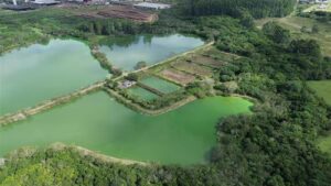 Fibraplac aposta em sistema de reúso de água e reduz em 330 mil litros o consumo do recurso natural