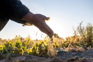 Fundação Cargill anuncia os 13 projetos selecionados pela Chamada Semeia 2025