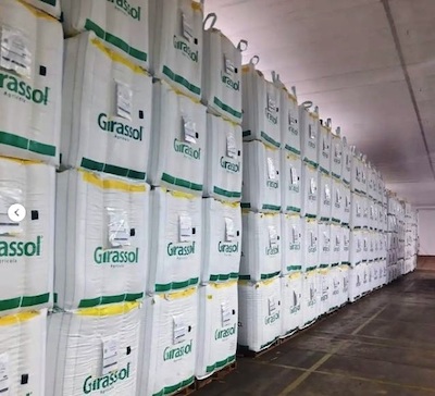 Girassol Agrícola eleva a régua da qualidade das sementes e cria um novo patamar no setor