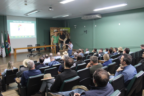 Indústria aposta em qualidade do trigo gaúcho para a safra 2025