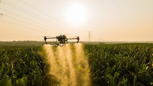 Uso de drones na agricultura cresce no Brasil e promete ganhos de produtividade, economia e sustentabilidade